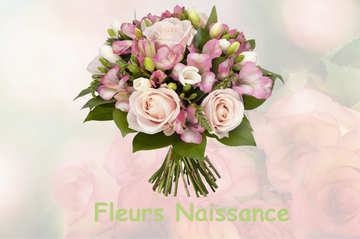 fleurs naissance ETIVAL