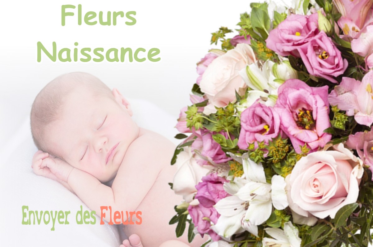 lIVRAISON FLEURS NAISSANCE à ETIVAL